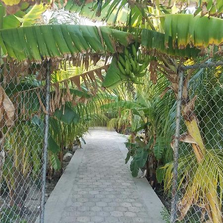 Auberge Pont-Gaudin Gonaives Екстериор снимка